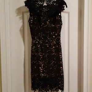 Vici Sleeveless Lace Dress